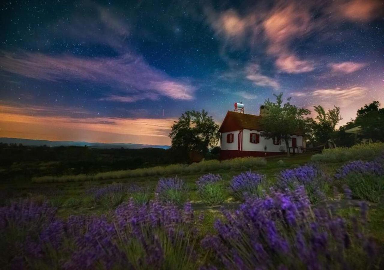 Lavanda Carasova Crasova Exterior photo